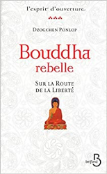 Bouddha rebelle